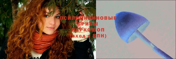винт Наволоки