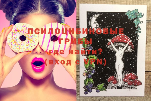 винт Наволоки