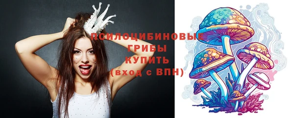 винт Наволоки