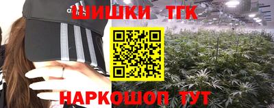 тгк Норильск