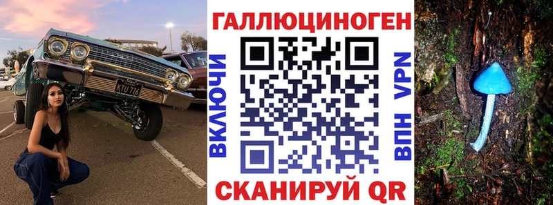 Купить закладки  Иркутск  Псилоцибиновые грибы Psilocybine cubensis 