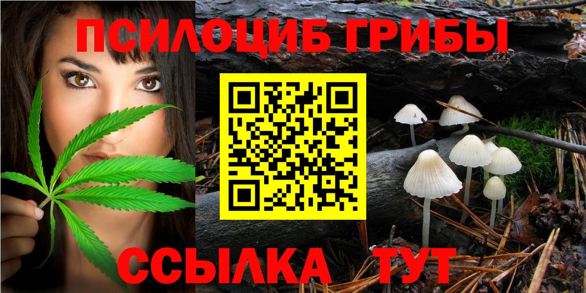 Иркутск  Галлюциногенные грибы Magic Shrooms  Вход с VPN 