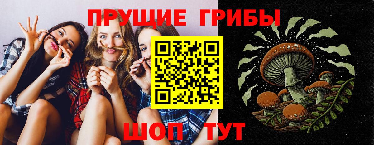 Псилоцибиновые грибы мицелий Иркутск